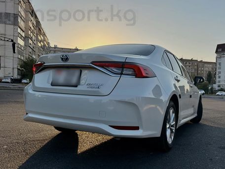 Toyota Corolla, 2020 — 照片 4