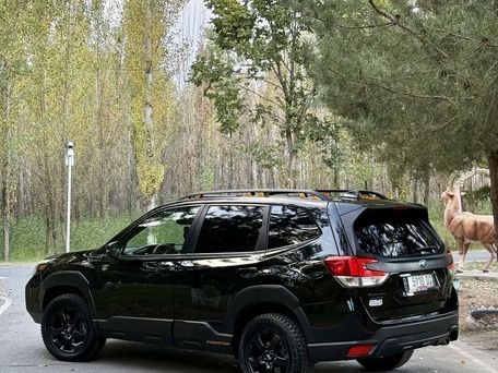 Subaru Forester, 2023 — фото 15