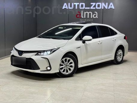 Toyota Corolla, 1972
