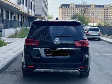 Kia Carnival, 2019 — фото 3