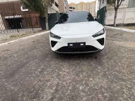 Hozon Neta L, 2024 — 照片 1