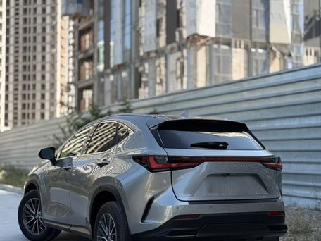 Lexus NX, 2023 — фото 5