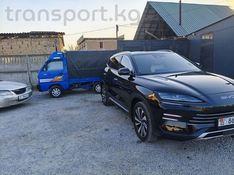 BYD Song Plus, 2023 — photo 2