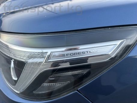 Subaru Forester, 2021 — фото 12