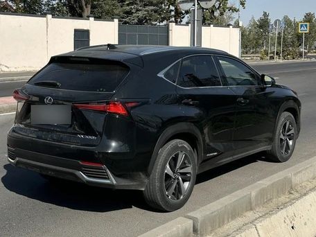 Lexus NX, 2021 — фото 2