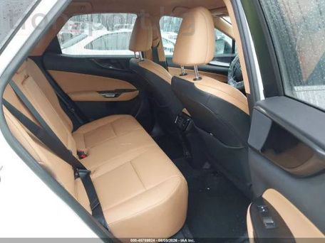 Lexus NX, 2022 — сүрөт 8