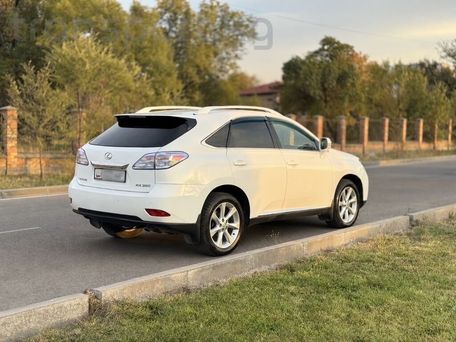 Lexus RX, 2009 — photo 5