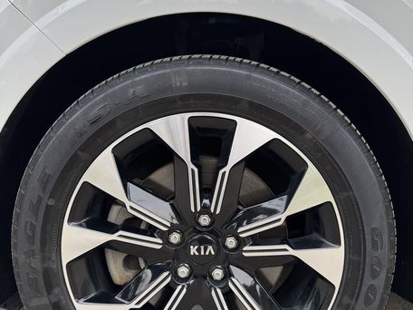 Kia Carnival, 2020 — фото 10