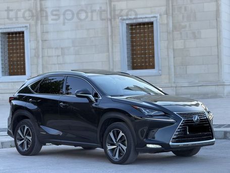 Lexus NX, 2019 — photo 1