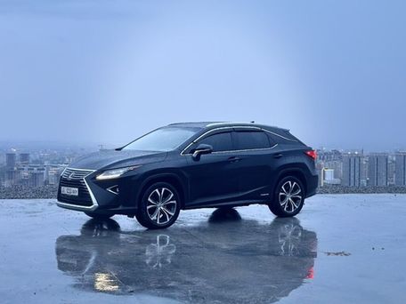 Lexus RX, 2017 — фото 7