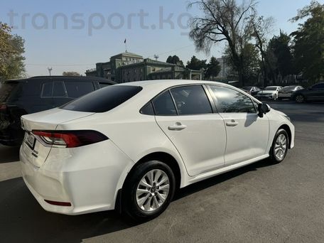 Toyota Corolla, 2021 — 照片 3