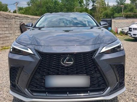 Lexus NX, 2021