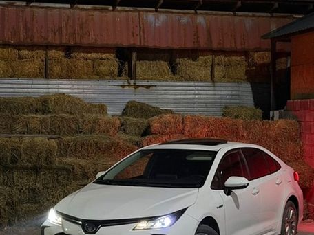 Toyota Corolla, 2019 — сүрөт 4