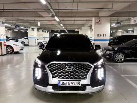 Hyundai Palisade, 2020 — фото 4