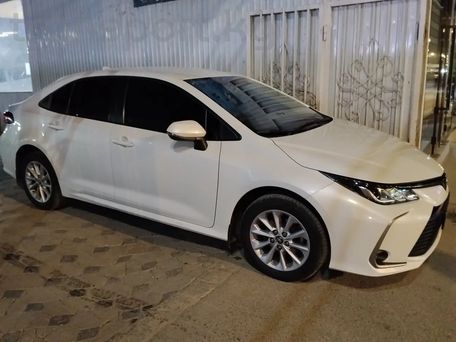 Toyota Corolla, 2019 — фото 1