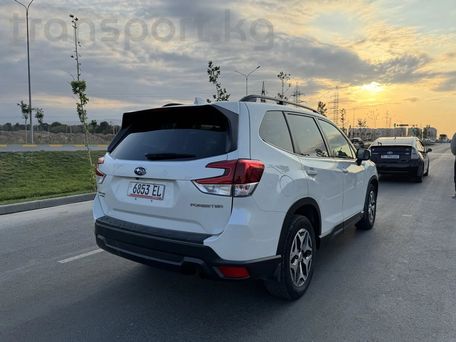 Subaru Forester, 2021 — сүрөт 6