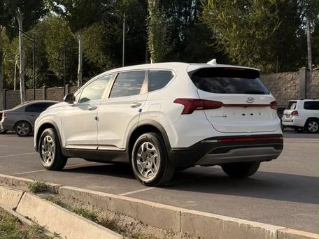 Hyundai Santa Fe, 2021 — сүрөт 6