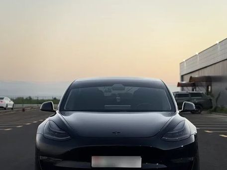 Tesla Model 3, 2020