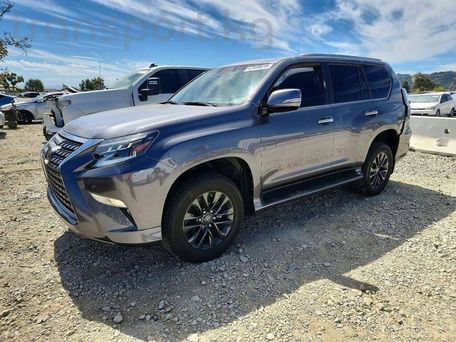 Lexus GX, 2023 — фото 3