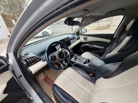 BYD Song Plus, 2022 — photo 10