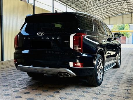 Hyundai Palisade, 2021 — фото 2