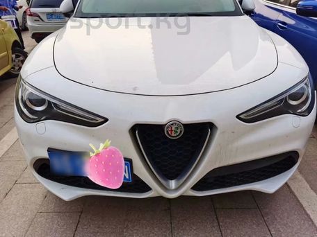 Alfa Romeo Stelvio, 2019 — фото 1