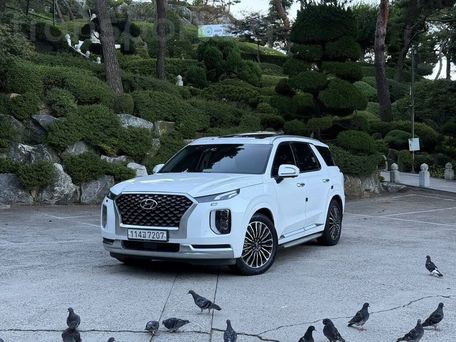 Hyundai Palisade, 2020 — 照片 2