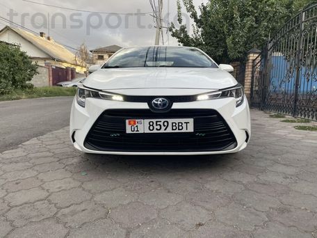 Toyota Levin, 2023 — 照片 5