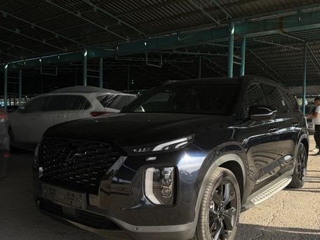 Hyundai Palisade, 2020