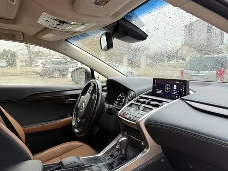 Lexus NX, 2019 — photo 10