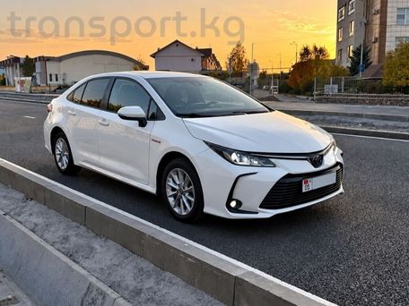 Toyota Corolla, 2021 — photo 3