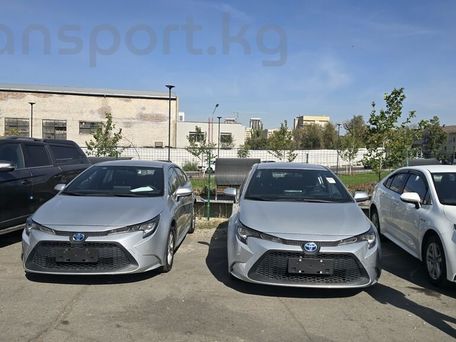 Toyota Corolla, 2022 — 照片 4