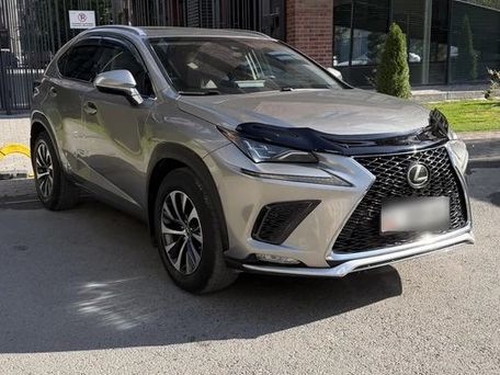 Lexus NX, 2019 — photo 4