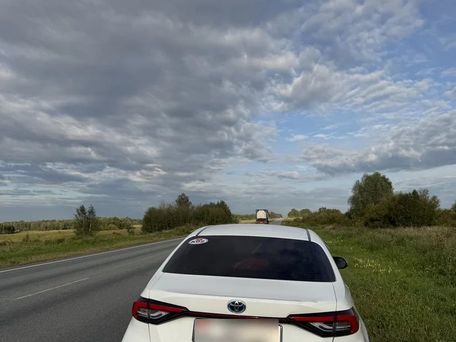 Toyota Corolla, 2019 — сүрөт 8