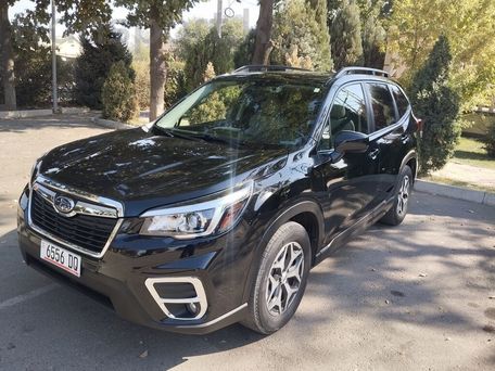 Subaru Forester, 2020 — фото 5