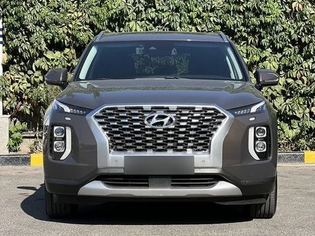 Hyundai Palisade, 2024 — фото 1