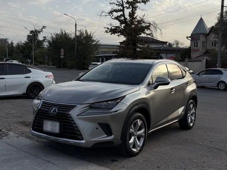 Lexus NX, 2017 — фото 1