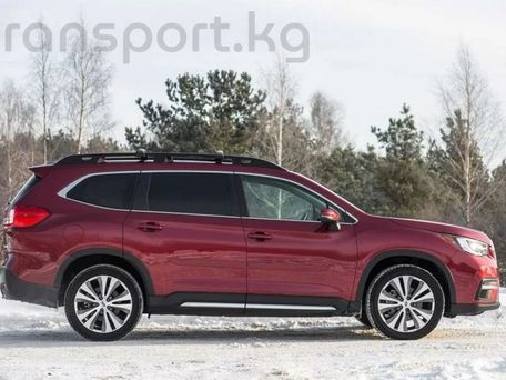 Subaru Ascent, 2020 — фото 3