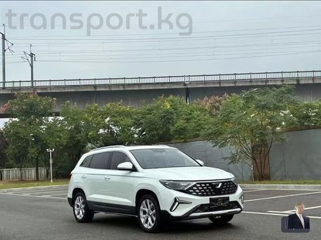 Jetta VS7, 2024 — 照片 3