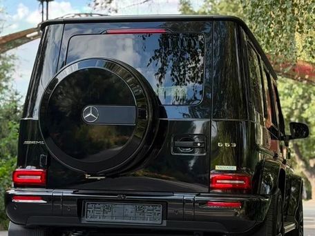 Mercedes-Benz G-Класс AMG, 2024 — фото 6