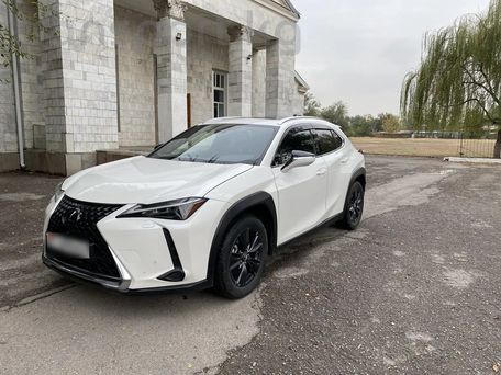 Lexus UX, 2023 — фото 2