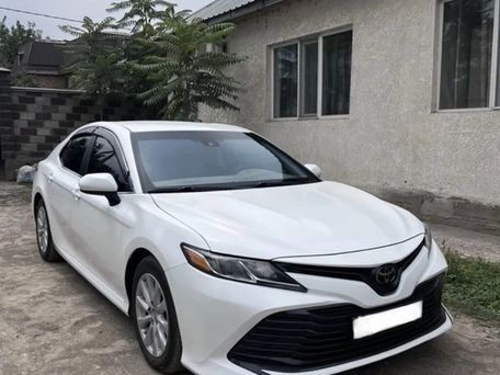 Toyota Camry, 2019 — фото 1
