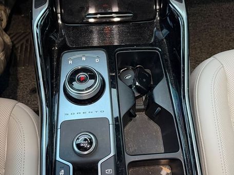 Kia Sorento, 2020 — photo 11