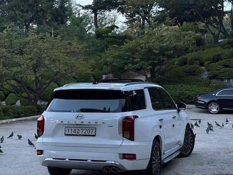 Hyundai Palisade, 2020 — 照片 4