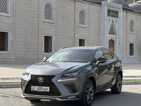 Lexus NX, 2019 — фото 2