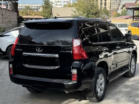 Lexus GX, 2010 — 照片 3