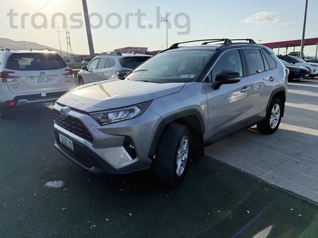 Toyota RAV4, 2020 — фото 1