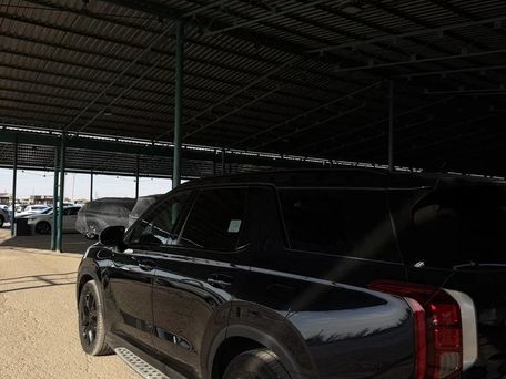 Hyundai Palisade, 2020 — фото 2