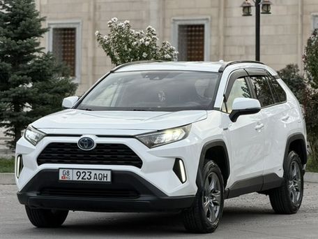 Toyota RAV4, 2019