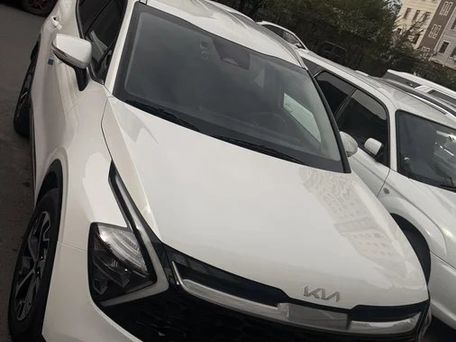Kia Sportage, 2022 — 照片 11